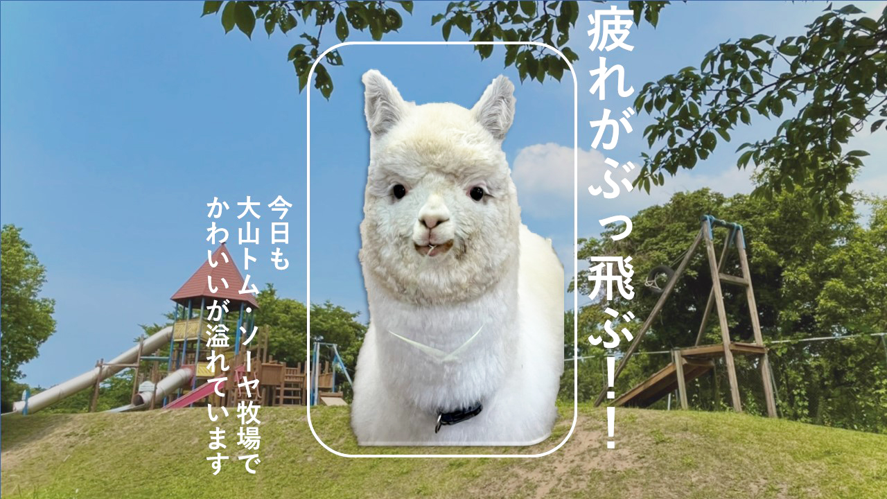 大山 トムソーヤ 牧場