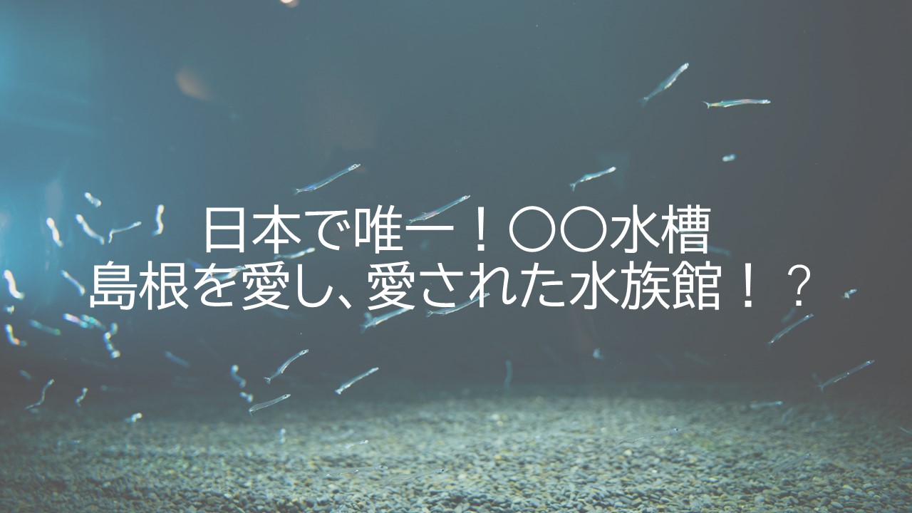 日本で唯一！○○水槽<br>島根を愛し、愛された水族館！？